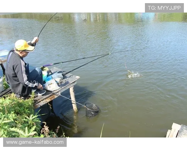 凯发体育集团官网网址查询方法详解,轻松找到官方入口避免钓鱼网站 凯发体育集团官网网址查询方法详解,轻松找到官方入口避免钓鱼网站